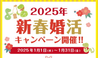 【期間限定】2025年新春婚活キャンペーン開催決定🎍🐍✨